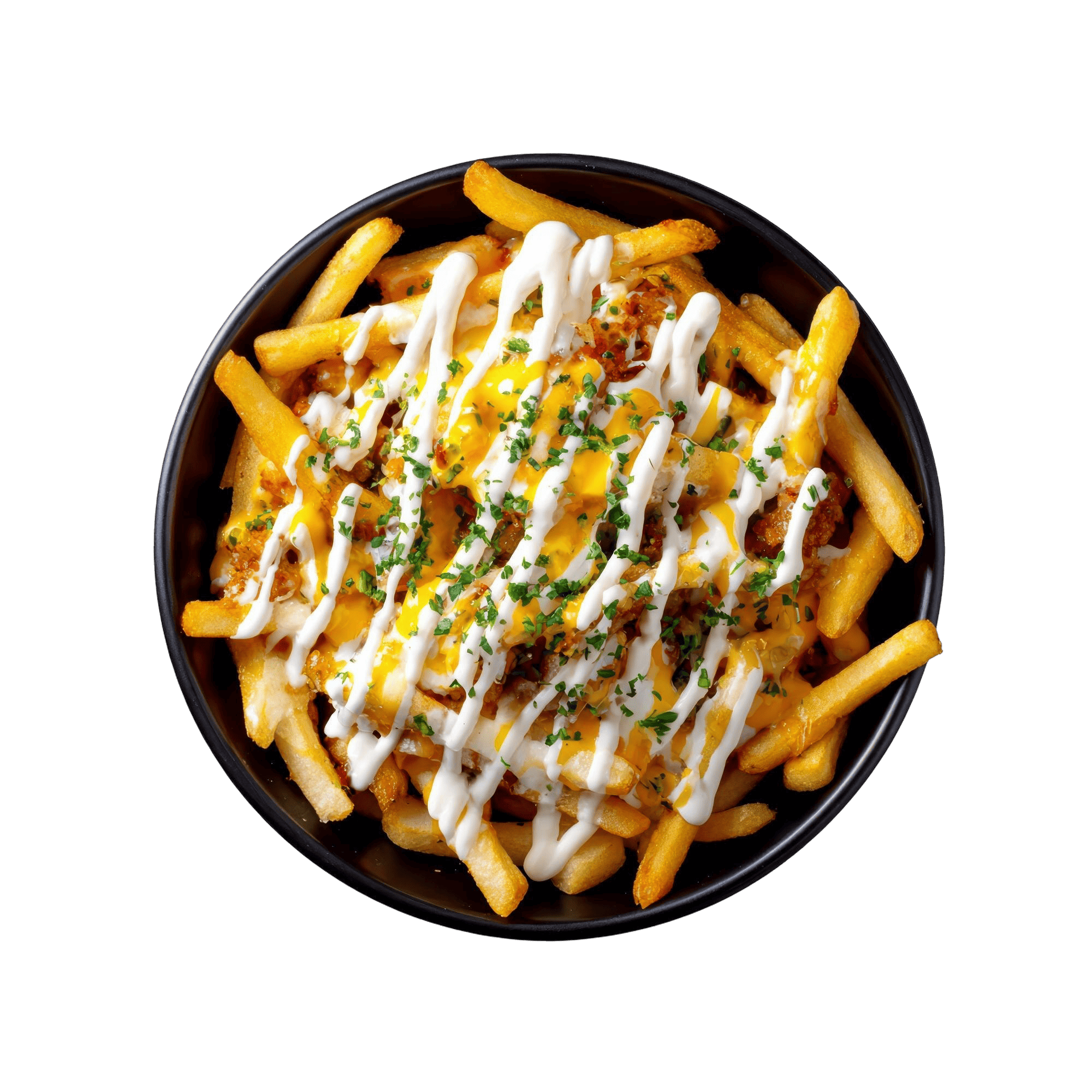 Loaded Fries 1
